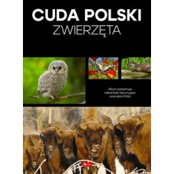 Cuda Polski. Zwierzęta motyleksiazkowe.pl