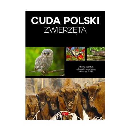 Cuda Polski. Zwierzęta motyleksiazkowe.pl
