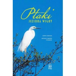 Ptaki Jeziora Wigry Dorota Zawadzka motyleksiazkowe.pl