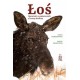 Łoś. Opowieści o gapiszonach z krainy Biebrzy