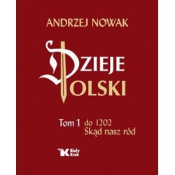 Dzieje Polski Tom 1 do 1202. Skąd nasz naród Andrzej Nowak motyleksiazkowe.pl