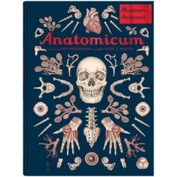 Anatomicum Muzeum Anatomii Jennifer Z. Paxton Katy Wiedemann motyleksiazkowe.pl