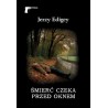 Śmierć czeka przed oknem