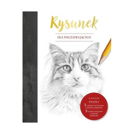 Rysunek dla poczatkujących Susie Hodge motyleksiazkowe.pl
