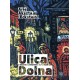 Ulica Dolna Arie Aksztajn motyleksiazkowe.pl