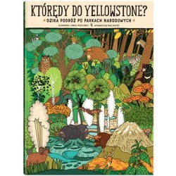 Którędy do Yellowstone? Dzika podróż po parkach narodowych Aleksandra i Daniel Mizielińscy motyleksiazkowe.pl
