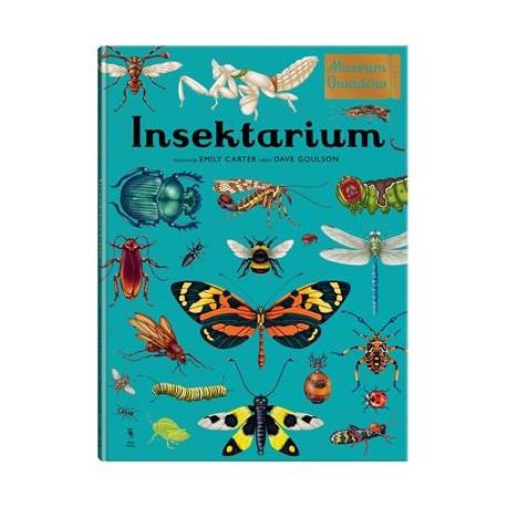 Insektarium. Muzeum Owadów Aleksandra i Daniel Mizielińscy motyleksiazkowe.pl