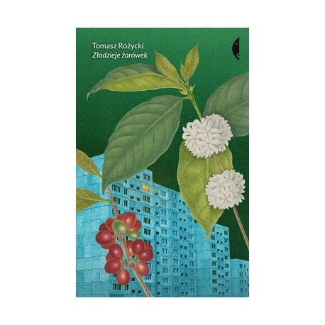 Złodzieje żarówek Tomasz Różycki motyleksiazkowe.pl