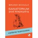 Sanatorium pod klepsydrą Wydanie ilustrowane Schulz Bruno motyleksiazkowe.pl