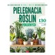 Pielęgnacja roślin pokojowych Michał Mazik motyleksiazkowe.pl