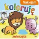 Naklejam koloruję Zwierzęta motyleksiazkowe.pl