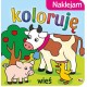 Naklejam koloruję Wieś