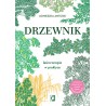 Drzewnik. Leśna terapia w praktyce