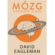 Mózg. Opowieść o nas David Eagleman motyleksiazkowe.pl