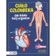 Ciało człowieka. Jak działa Twój organizm John Farndon (autor), Allan Rowe (ilustrator) motyleksiazkowe.pl