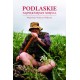Podlaskie Najpiękniejsze miejsca. Wędrówki Wiktora Wołkowa motyleksiazkowe.pl