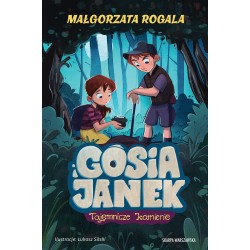 Gosia i Janek. Tajemnicze kamienie  Małgorzata Rogala motyleksiazkowe.pl