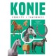 Konie Sekrety i tajemnice