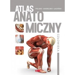 Atlas anatomiczny człowieka motyleksiazkowe.pl