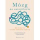 Mózg na autopilocie. Jak nie dać się oszukać schematom myślenia Crawford Hollingworth, Cathy Tomlinson motyleksiazkowe.pl