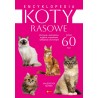 Koty rasowe Emcyklopedia