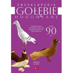 Gołębie hodowlane Encyklopedia Gilarski Zbigniew motyleksiazkowe.pl