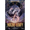 Nocne łowy