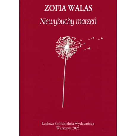 Niewybuchy marzeń Walas Zofia motyleksiazkowe.pl