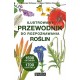 Ilustrowany przewodnik do rozpoznawania roślin motyleksiazkowe.pl