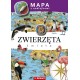Mapa z naklejkami Zwierzęta świata Adamczak Agata Kodyniak Anna motyleksiazkowe.pl