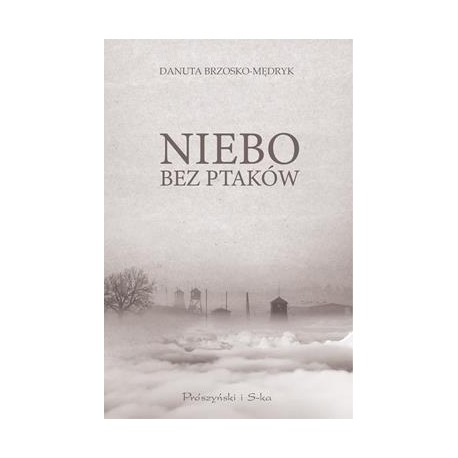 Niebo bez ptaków Danuta Brzosko-Mętrak motyleksiazkowe.pl