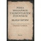 Pisma Mesjańskie z komentarzem żydowskim Relacja Matiasa Gruber Daniel motyleksiazkowe.pl