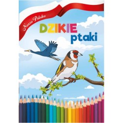 Dzikie ptaki. Nasza Polska praca zbiorowa motyleksiazkowe.pl