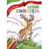 Leśne zwierzęta Nasza Polska