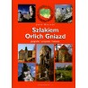 Szlakiem Orlich Gniazd. Geografia. Przyroda. Historia