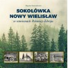 Sokołówka i Nowy Wielisław w ramionach Polanicy - Zdroju