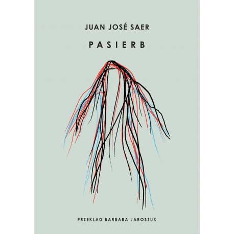 Pasierb Saer Jose Juan motyleksiazkowe.pl