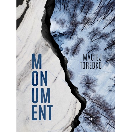 Momentum Maciej Torebko motyleksiazkowe.pl