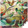 Imagination Puzzle: Ernst Haeckel Hummingbirds / Kolibry (1000 elementów)