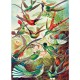 Imagination Puzzle: Ernst Haeckel Hummingbirds / Kolibry (1000 elementów) Good Loot motyleksiazkowe.pl