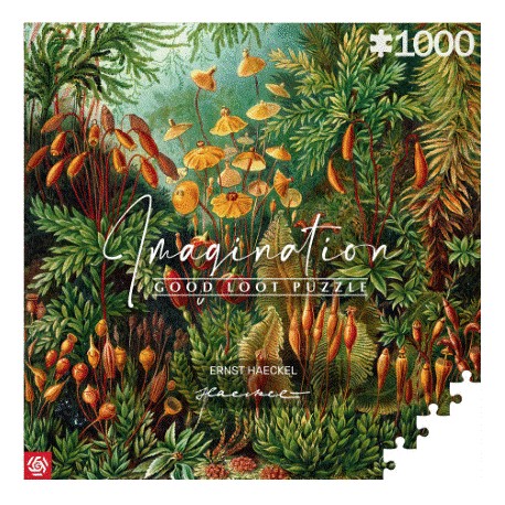 Imagination Puzzle: Ernst Haeckel Muscinae (1000 elementów) Good Loot motyleksiazkowe.pl