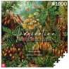 Imagination Puzzle: Ernst Haeckel Muscinae (1000 elementów)