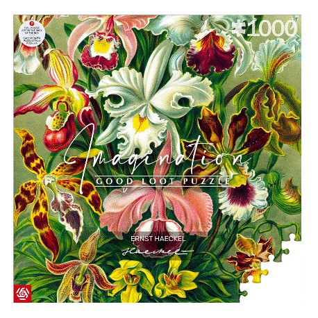Imagination Puzzle: Ernst Haeckel Orchidea / Orchid (1000 elementów) Good Loot mtoyleksiazkowe.pl