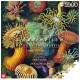 Imagination Puzzle: Ernst Haeckel Sea Anemones / Stworzenia morskie (1000 elementów)