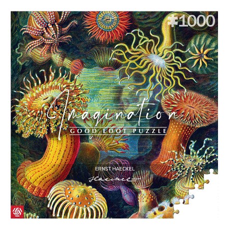Imagination Puzzle: Ernst Haeckel Sea Anemones / Stworzenia morskie (1000 elementów) Good Loot motyleksiazkowe.pl