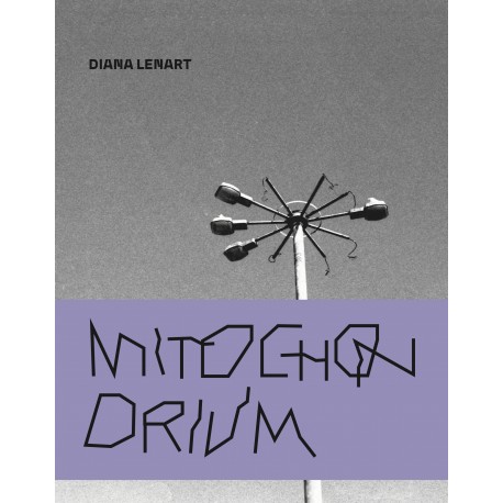 Mitochondrium Diana Lenart motyleksiazkowe.pl