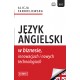 Język angielski w biznesie, innowacjach i nowych technologiach Alicja Fandrejewska motyleksiazkowe.pl