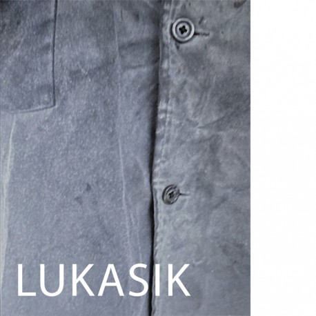 Lukasik Inwentaryzacja motyleksiazkowe.pl