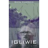 Igliwie czyli niespieszne rozmowy  nie tylko o literaturze