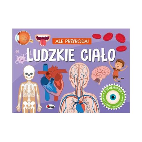 Ale Przyroda Ludzkie ciało motyleksiazkowe.pl